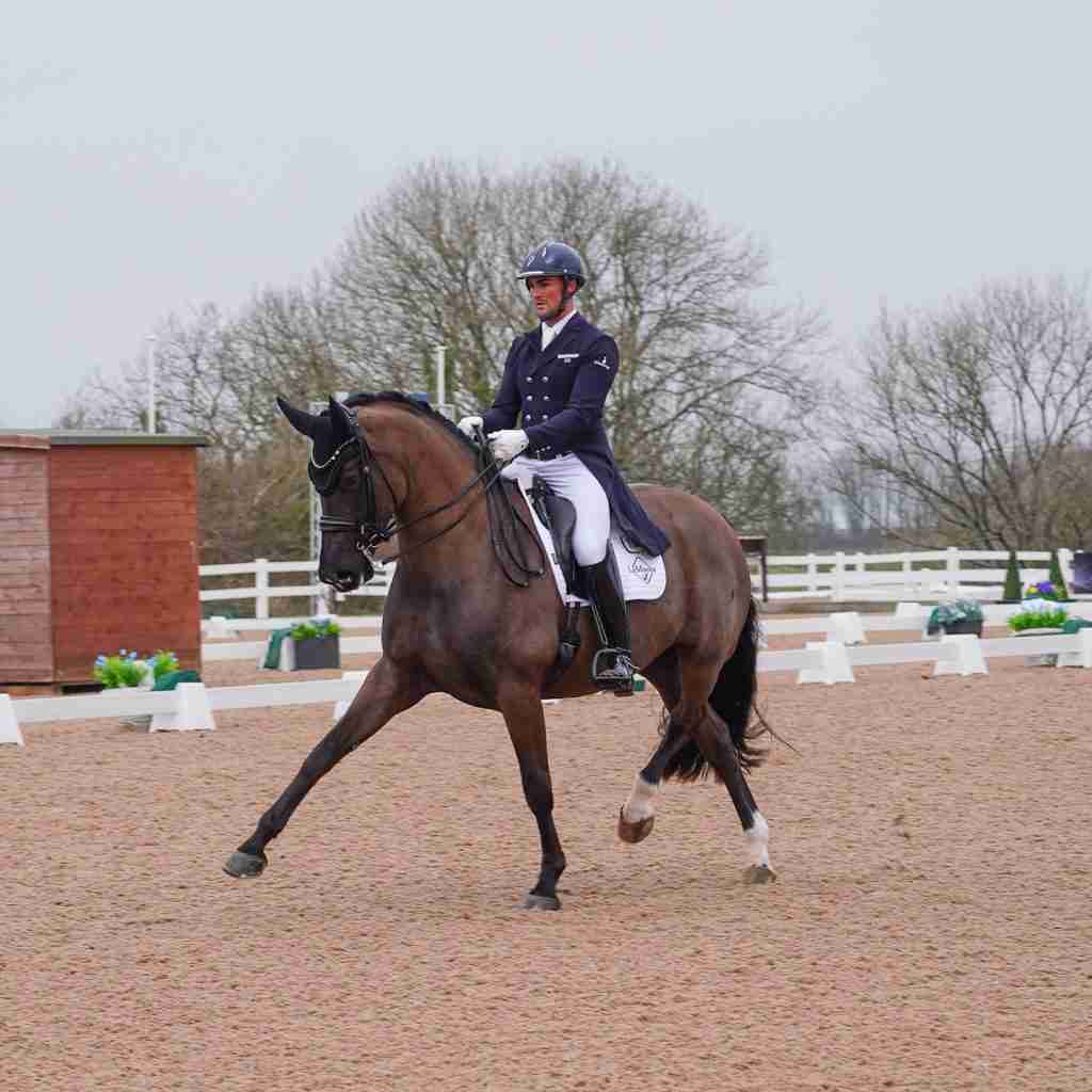 A dark bay dressage horse in extended trot in an outdoor arena, ridden in competition dress