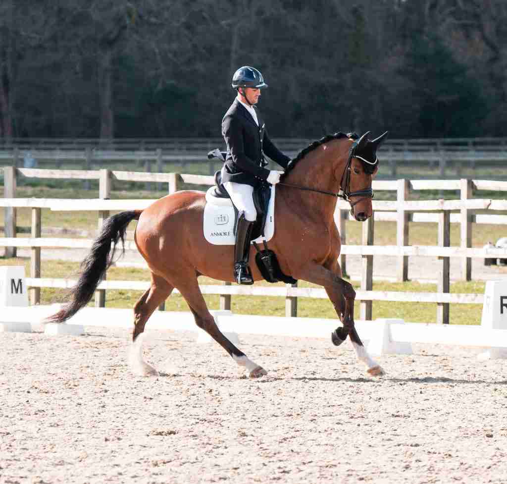 Jezz Palmer competing on a dressage horse during a competition