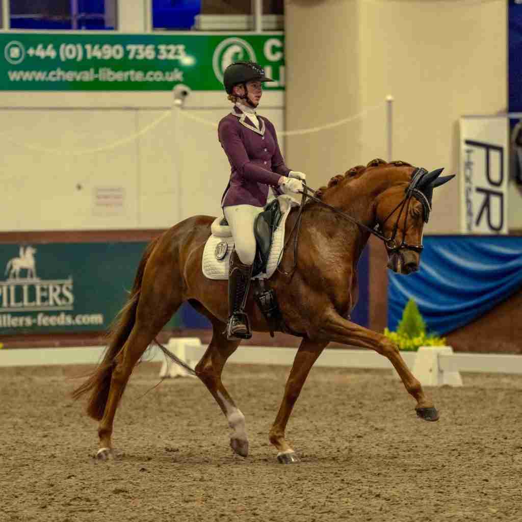 A chestnut dressage horse in canter in an indoor arena, ridden by a rider in a burgundy jacket