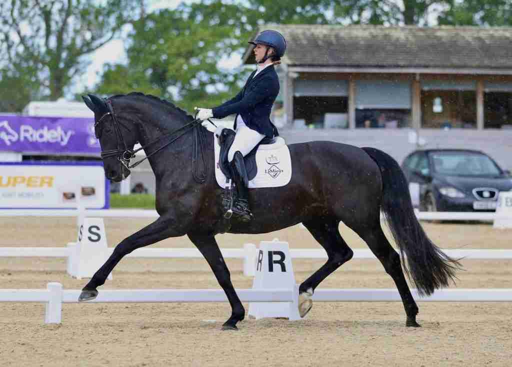 A near-black dressage horse in extended trot at a competition, arena markers R and S behind