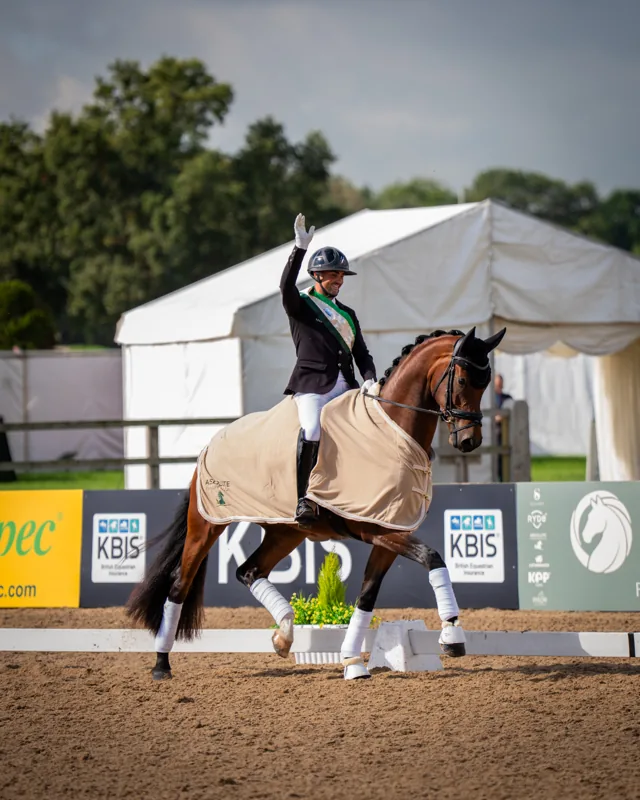 Spotify in T'Veld, a bay gelding in a bridle, head and neck by the stables